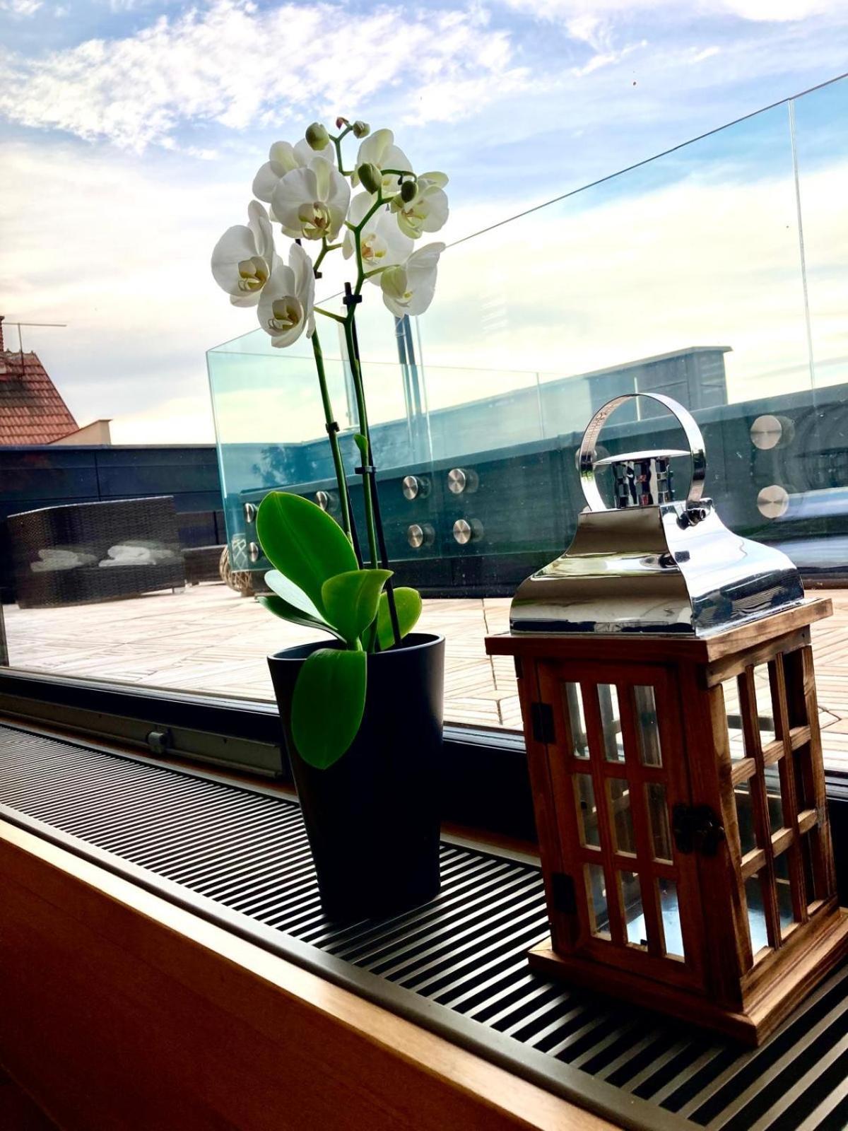 Apartman Se Saunou A Terasou S Vyhledem Na เบอร์โน ภายนอก รูปภาพ